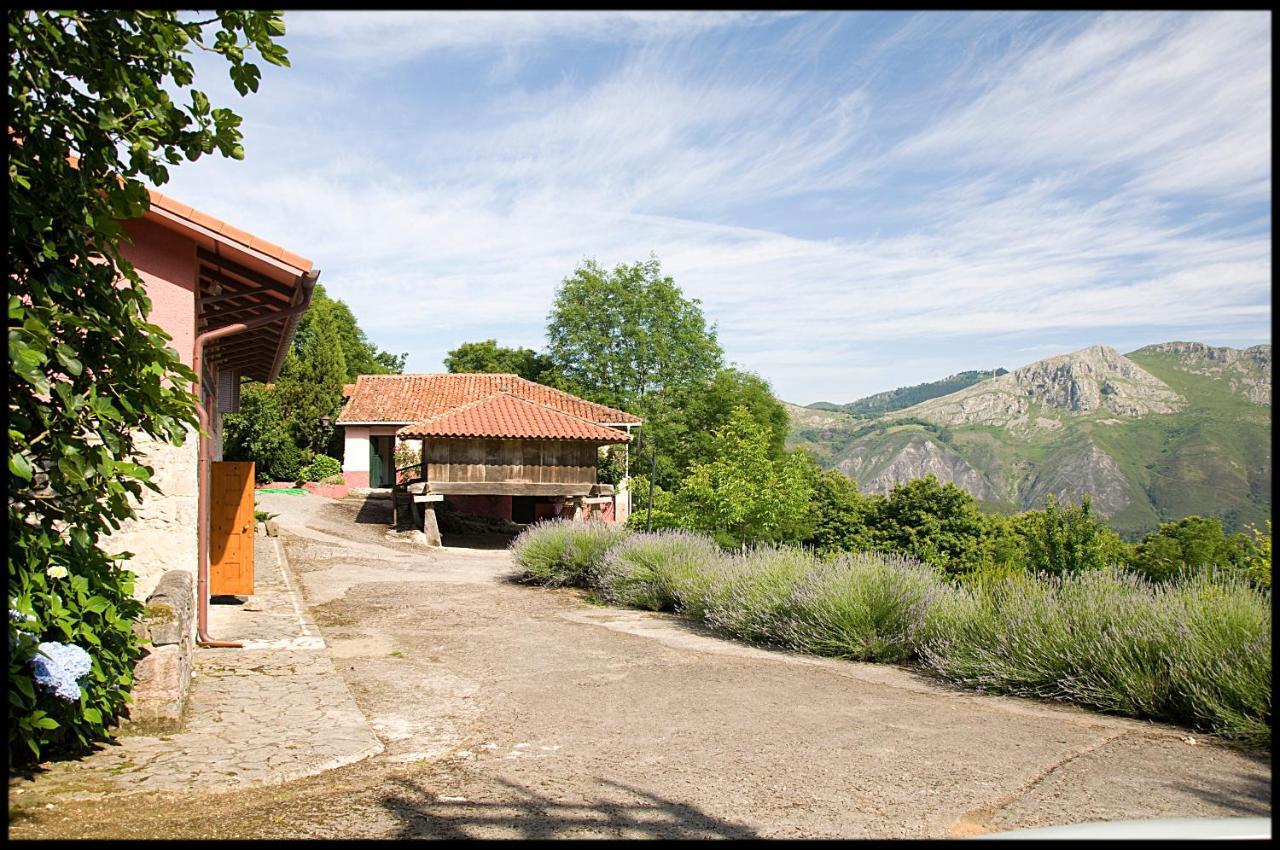 Cangas de Onis Casa rural vistas y jardin Peruyes Exterior foto